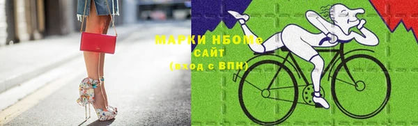 стаф Козельск